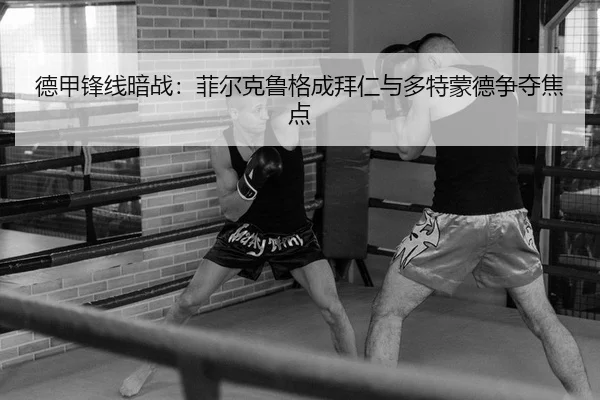 de-jia-feng-xian-an-zhan-fei-er-ke-lu-ge-cheng-bai-ren-yu-duo-te-meng-de-zheng-duo-jiao-dian-2-327.jpg